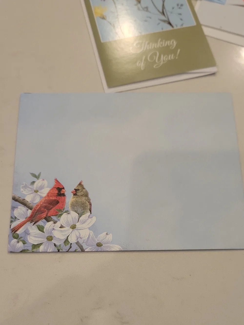 New! Assorted Bird Card Bundle